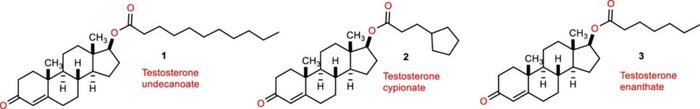 Testosterone esters used in therapy: undecanoate (1), cypionate (2), enanthate (3).