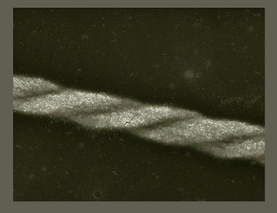 Double Helix