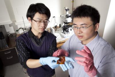 Qiming Wang and Xuanhe Zhao,   	 Duke University