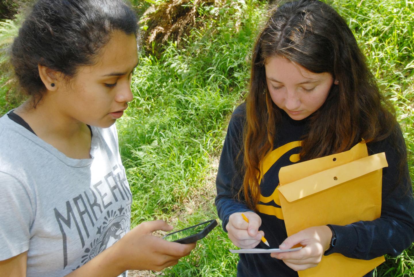 Citizen Scientists Help Predict Spread of Sudden Oak Death