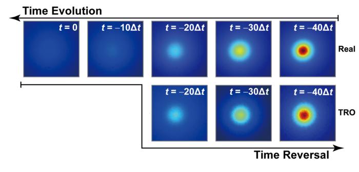Reversing the Arrow of Time in Heat Transfer: A Novel Operator Learning Framework for Thermal Retrodiction