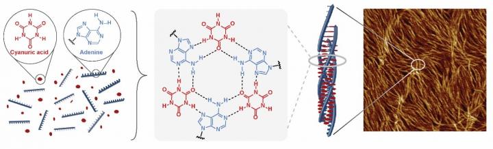 Novel Nanomaterial