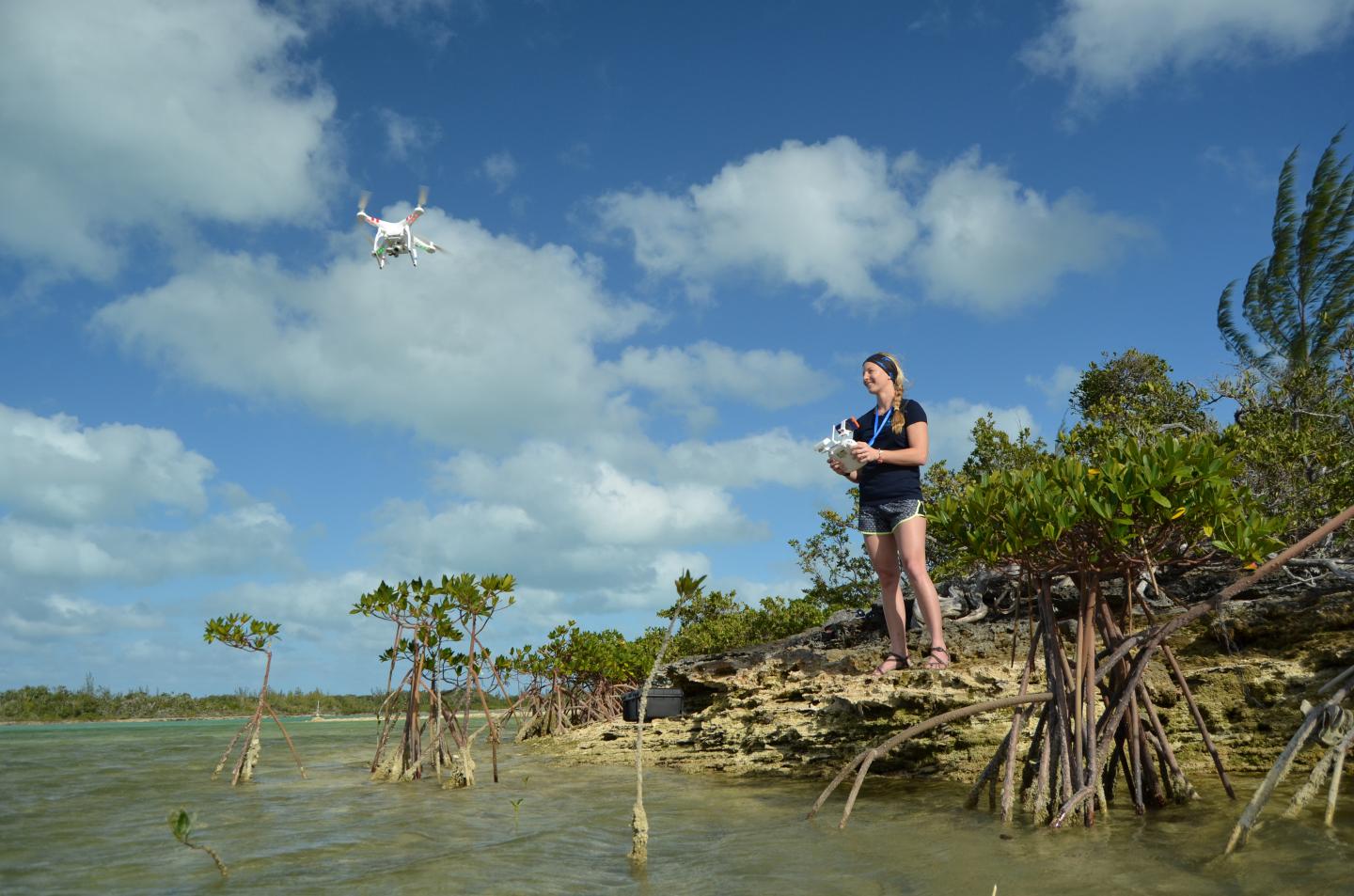 Using Drones To Monitor Marine Megafauna