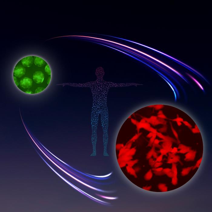 Image inspired by NASA's Apollo Program