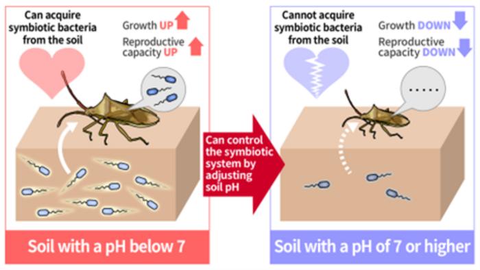 The relationship between soil and pests is revealed in this study.