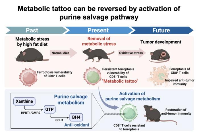 How to remove a metabolic tattoo