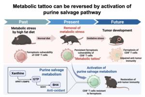 How to remove a metabolic tattoo