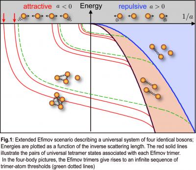 Universal Tetramer States