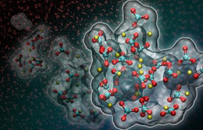 Computer Simulations Indicate Calcium Carbonate Has a Dense Liquid Phase