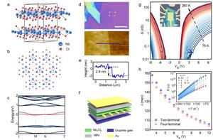 Fundamental properties of Nb3Cl8