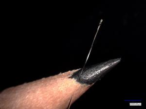 The researchers use a very thin optical fiber for 3D printing. The image shows the fiber in comparison to a pencil lead.