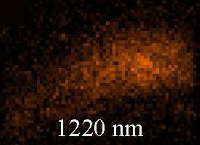 Confocal Light Scattering in Metamaterial