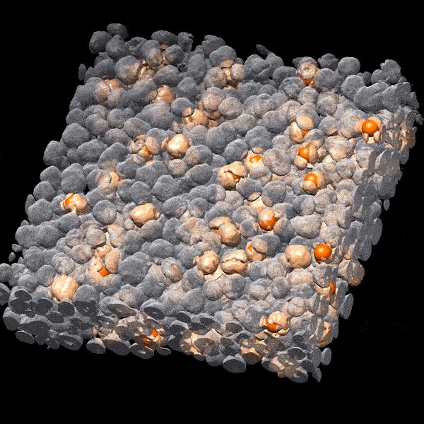 Cathode