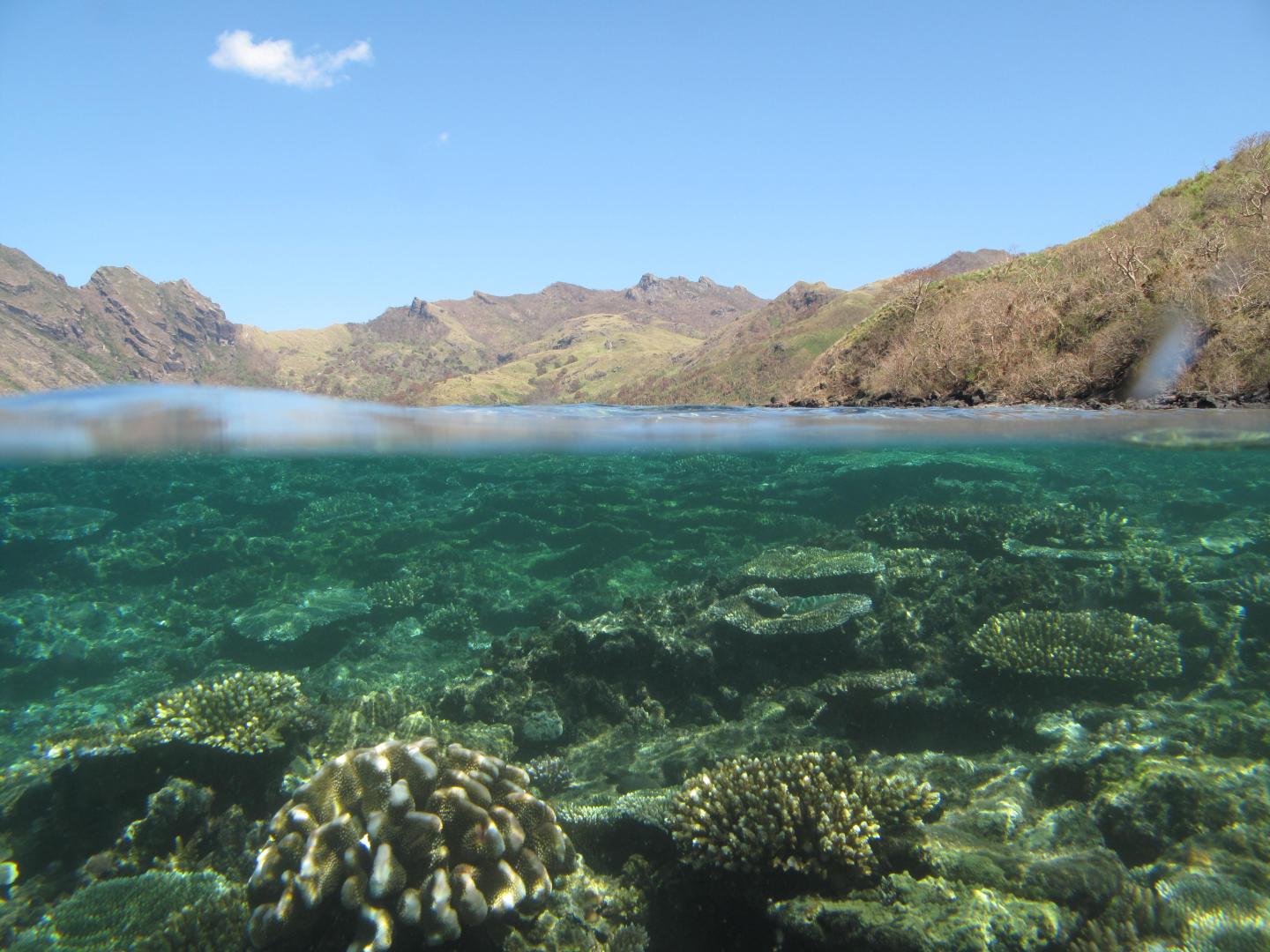 Sea and Land in Fiji