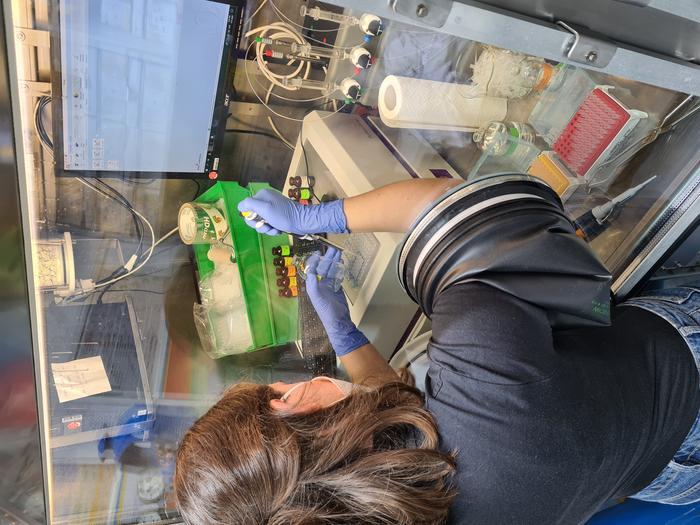Nevena Maslac at work