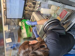 Nevena Maslac at work