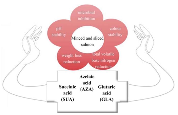 Effect of medium-chain dicarboxylic acids on salmon quality preservation.
