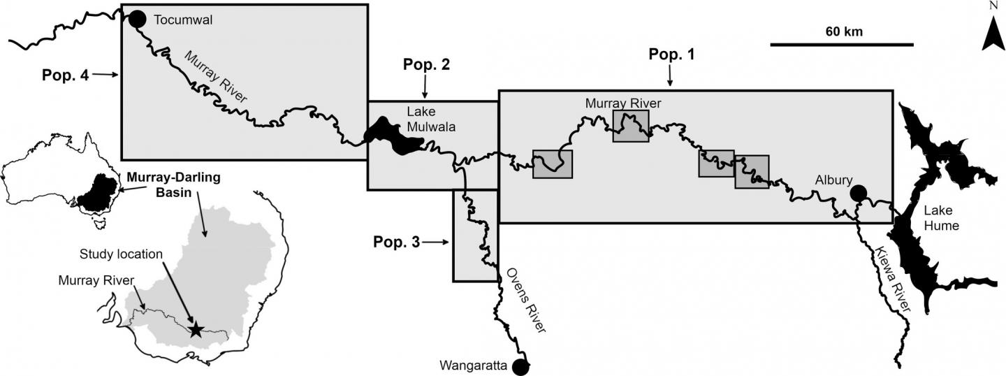 Priority Resnagging Zones