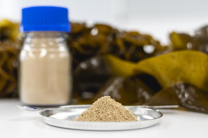 High purity fucoidan