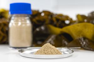High purity fucoidan