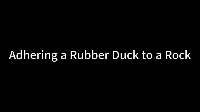 A rubber duck withstands repeated ocean tides