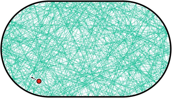 Quantum birthmark (2)
