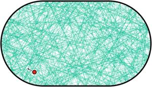 Quantum birthmark (2)