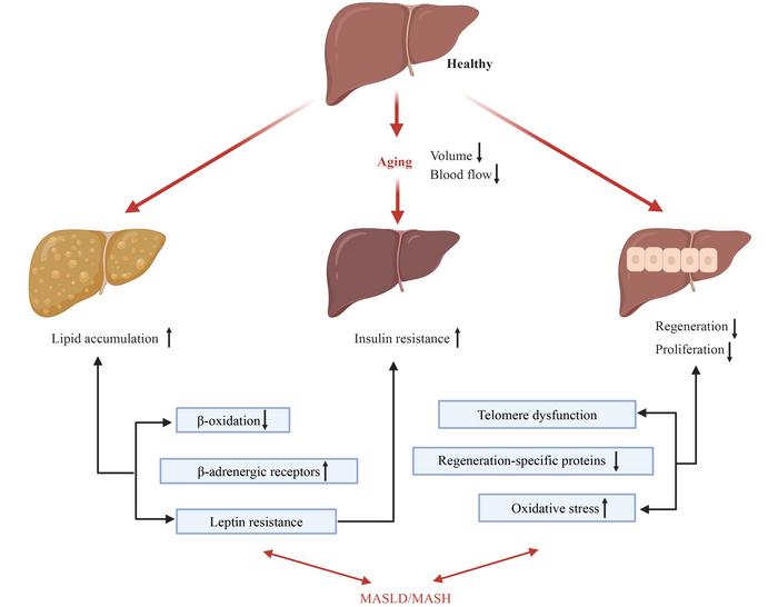 Fig1