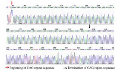 Sequencing Analysis
