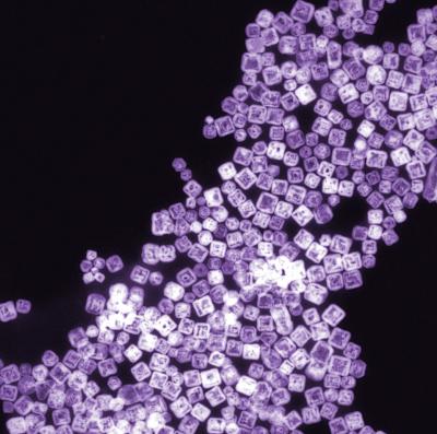 Self-Assembled, Complex Nano-Objects in 3-D (6 of 9)