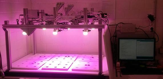 Experimental Setup