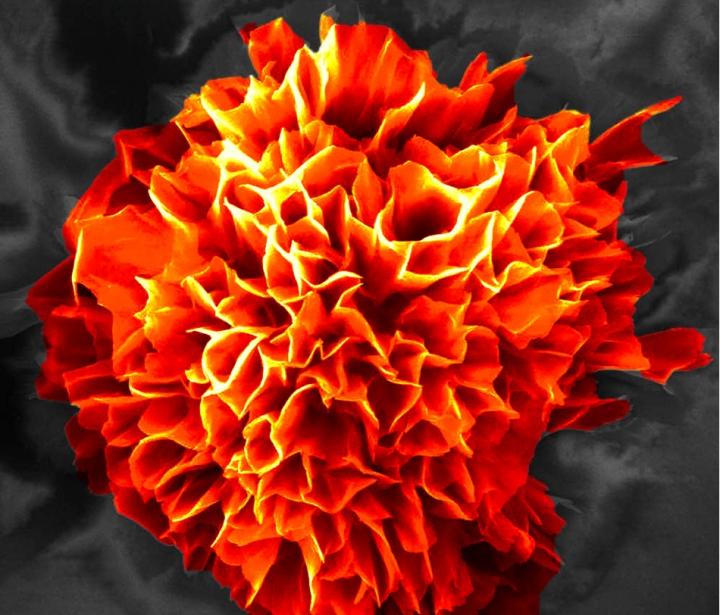 Microflower