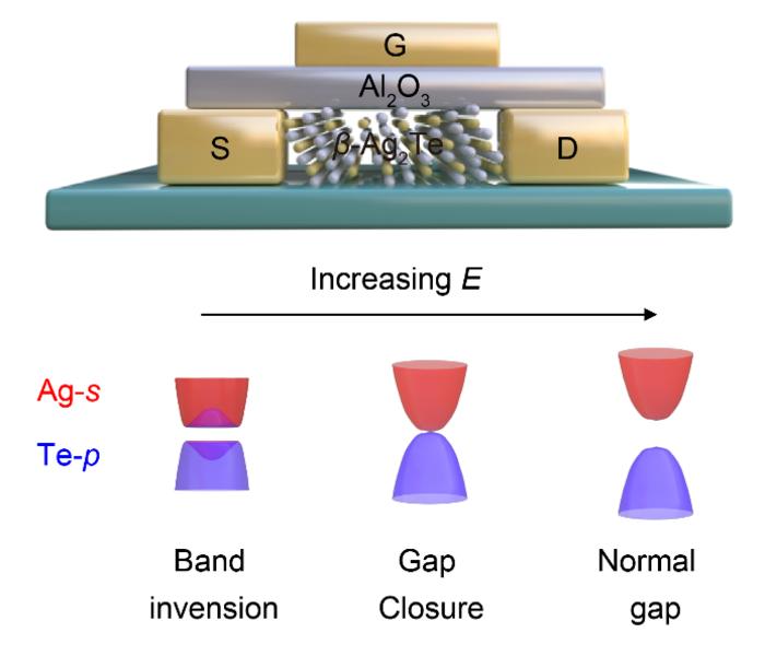 β-Ag2Te-based topological phase transition transistor.