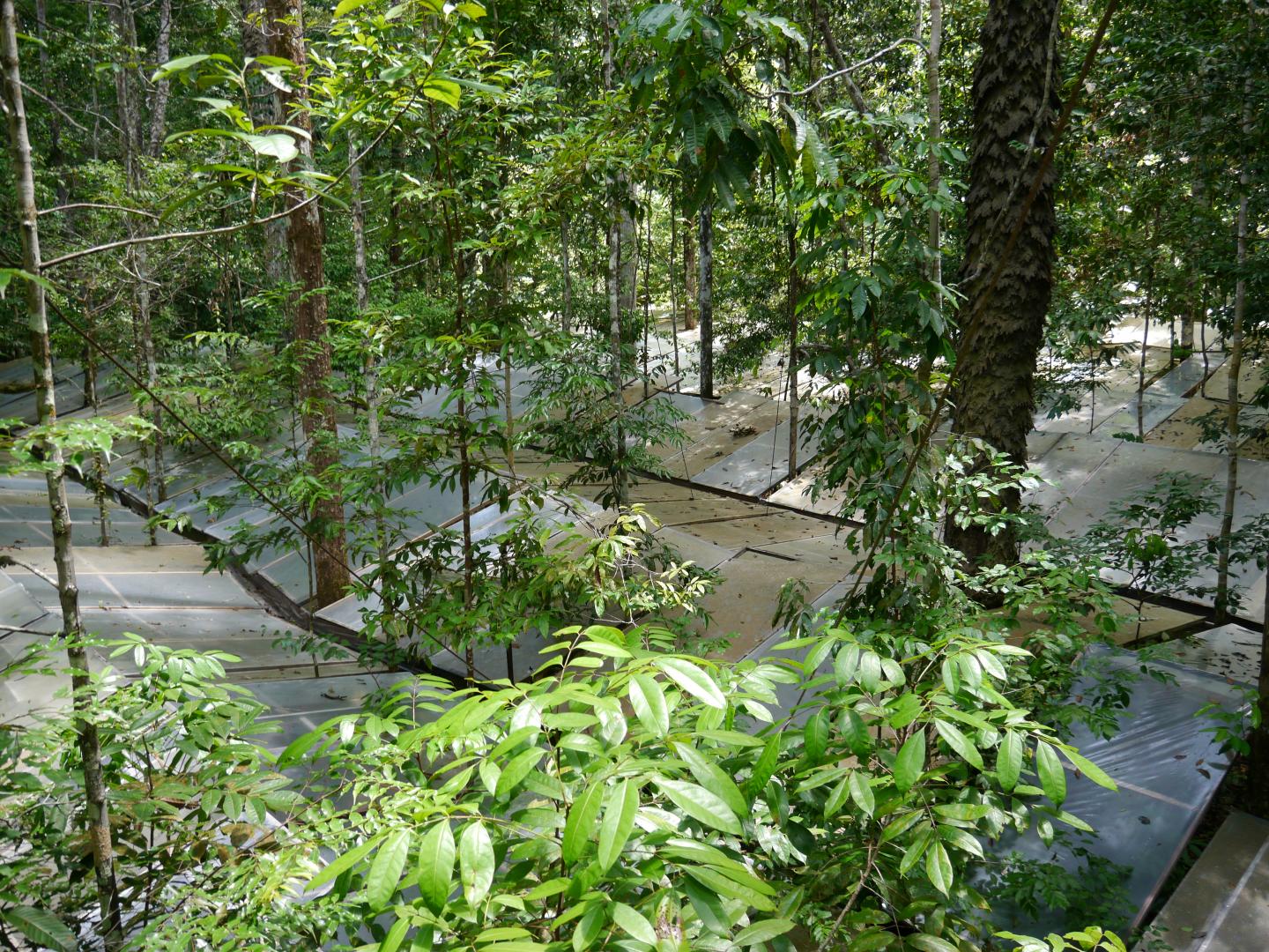 Drought Site