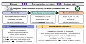 Techno-economic and life-cycle assessments of biomass thermochemical conversion into gaseous fuels