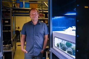 Coral researcher Phillip Cleves