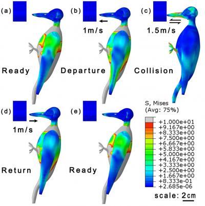 Pecking Process