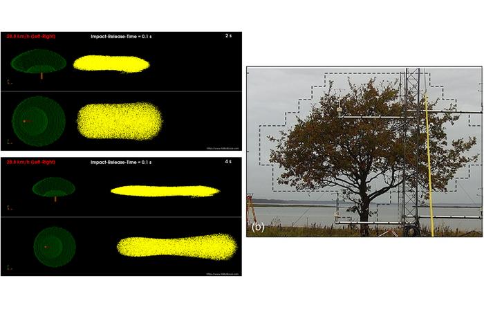 Simulating the detachment and dispersion of pollen around an oak tree