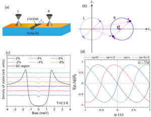 Crystal Domain Wall Traps Majorana Quasi-particle in Iron-Based Superconductor Fe (Te, Se)
