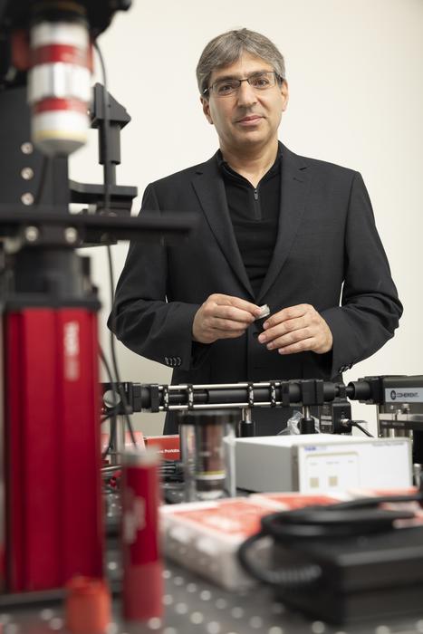 Mapping the Brain's Blood Flow