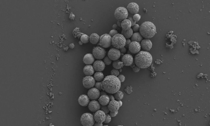 Magnetic Liquid Metal Nanoparticles