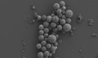 Magnetic Liquid Metal Nanoparticles