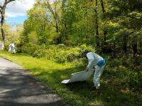 Tick Surveillance: Cloth Drag in Edge Habitat