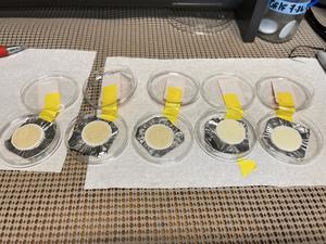 Filters with particulate material