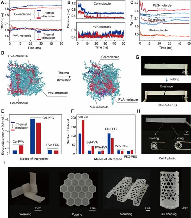 Figure 2 Molecular dynamics (MD) simulations and various shapings of Cel-T plastic.