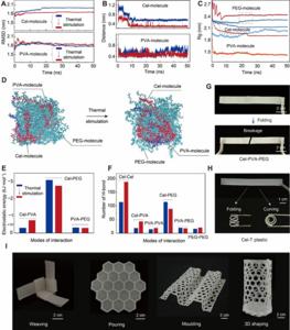 Figure 2 Molecular dynamics (MD) simulations and various shapings of Cel-T plastic.