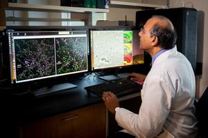 Gopal Thinakaran -- Credit USF Health