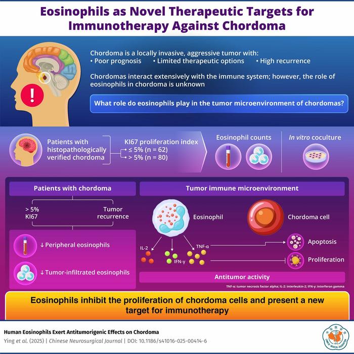 Eosinophils as novel immunotherapeutic targets in chordoma