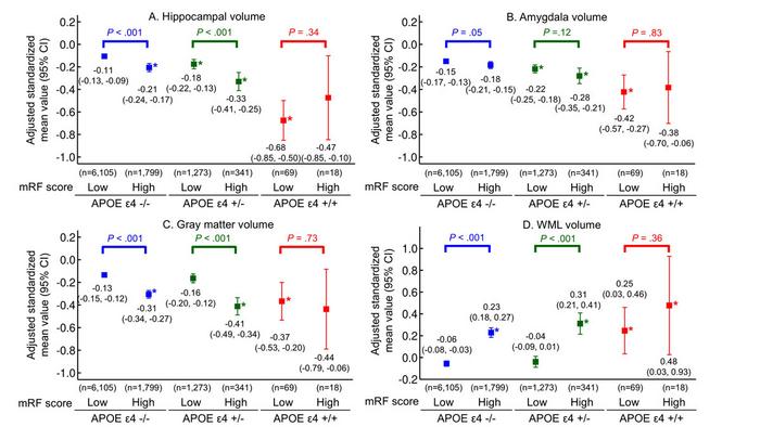Fig. 2. Brain structural differences between low- and high-mRF groups across APOE ε4 genotypes
