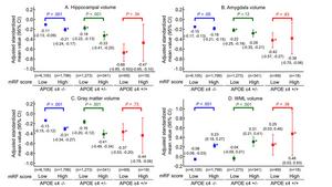 Fig. 2. Brain structural differences between low- and high-mRF groups across APOE ε4 genotypes